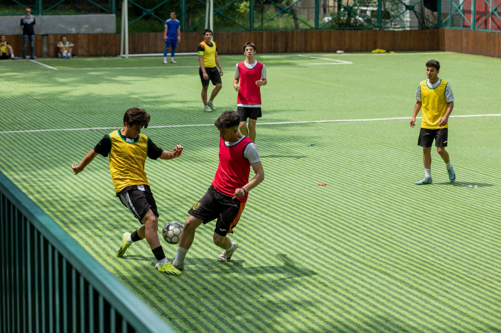 წყნეთში პროექტი „სუფთა გარემო - ჯანსაღი ცხოვრება“ გაიმართა