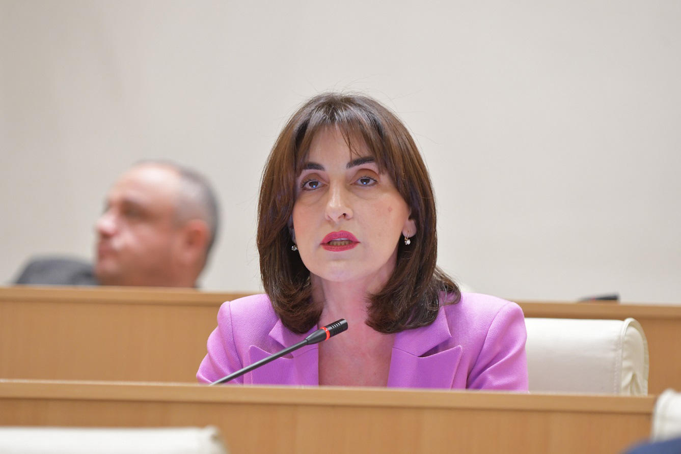 მაკა ბოჭორიშვილი - საქართველო ნამდვილად იმსახურებს ღირსეულ დამოკიდებულებას პარტნიორების მხრიდან და ევროპისკენ მიმავალ გზაზე არა დაბრკოლებების შექმნას, არამედ ხელის მეტად შეწყობას