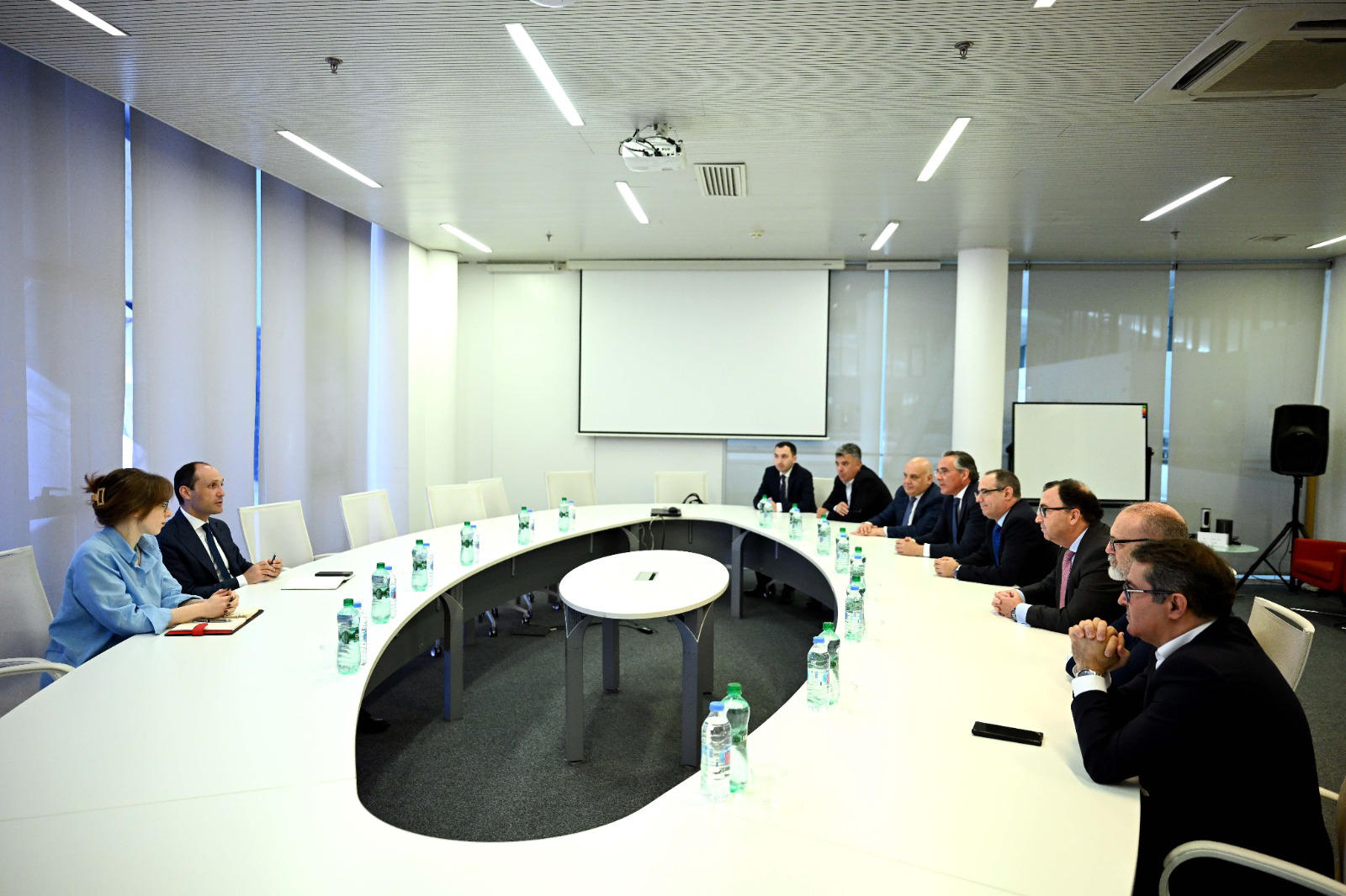 ლევან დავითაშვილი კომპანია „ჯორჯიან უოთერ ენდ ფაუერის“ ინვესტორი კომპანიის წარმომადგენლებს შეხვდა