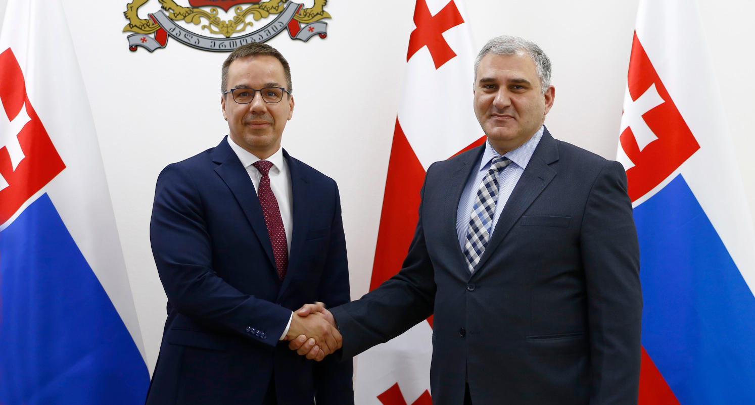 მიხეილ სარჯველაძე სლოვაკ კოლეგას შეხვდა
