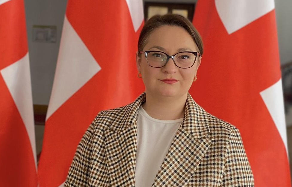 ნანა ტოხვაძე - საარჩევნო ანკესი გულუბრყვილოთათვის - ასე შეიძლება შეჯამდეს განათლების მინისტრის მოხსენება პარლამენტში