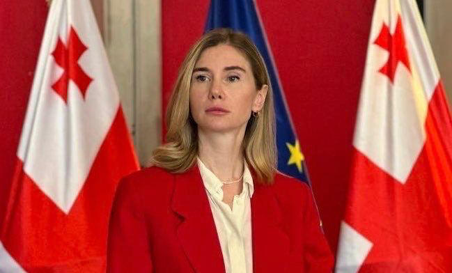 Tina Bokuchava: The Declaration of Unity of the Georgian Opposition is an important statement on the necessity of unity of the opposition in order to defeat Ivanishvili's pro-Russian government
