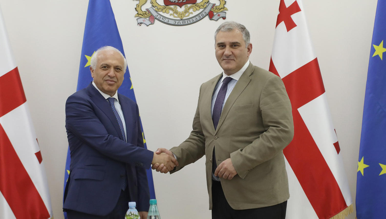 მიხეილ სარჯველაძე საქართველოში სომხეთის ელჩს შეხვდა