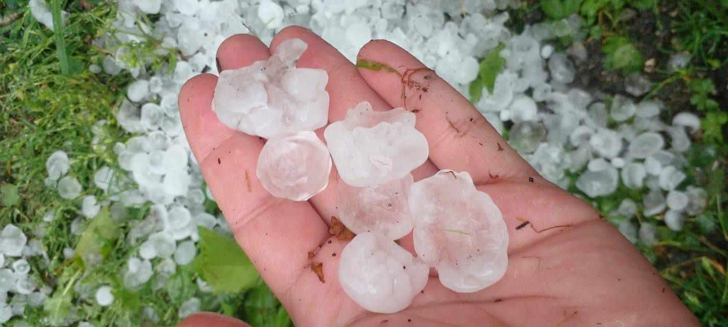 ცაგერის მუნიციპალიტეტის სოფლებში სეტყვამ რამდენიმე სოფელი დააზარალა