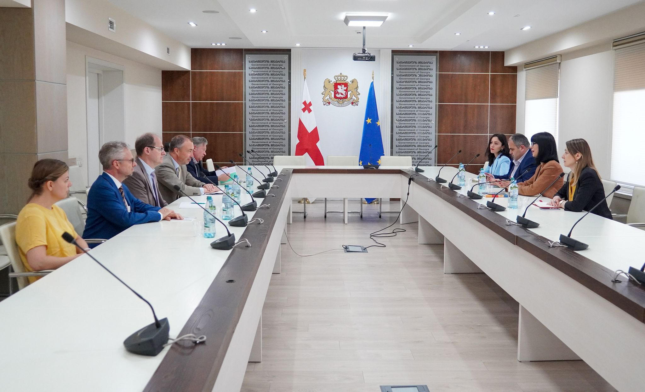 თეა ახვლედიანმა ტოივო კლაართან შეხვედრა გამართა