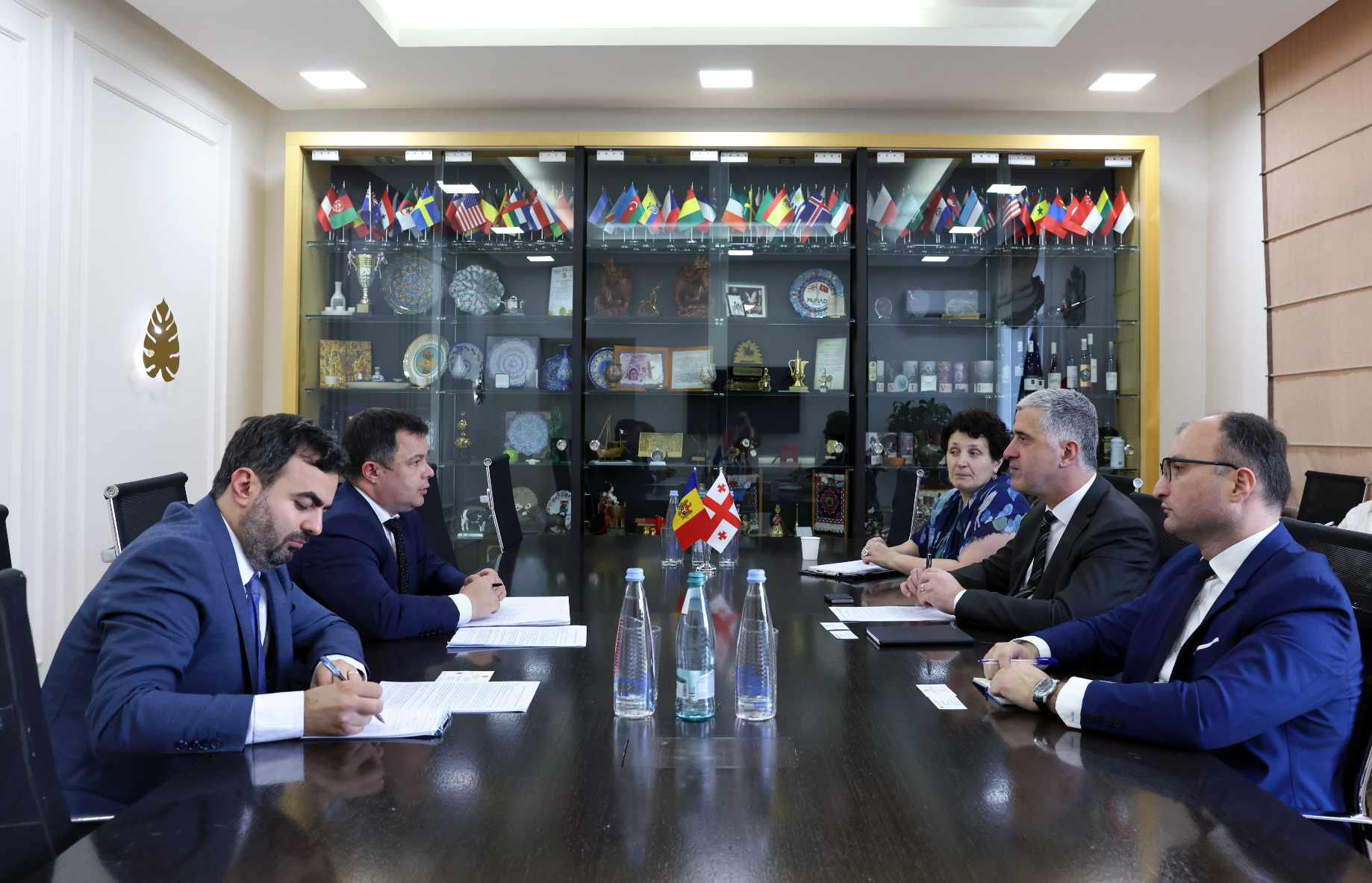 ოთარ შამუგია მოლდოვის რესპუბლიკის საგანგებო და სრულუფლებიან ელჩს საქართველოში ალექსანდრ ესაულენკოს შეხვდა