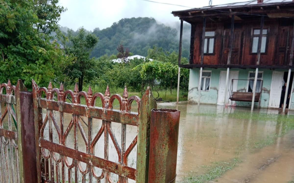წალენჯიხაში ძლიერმა წვიმამ პრობლემები შექმნა - დატბორილია გზები და საკარმიდამო ნაკვეთები