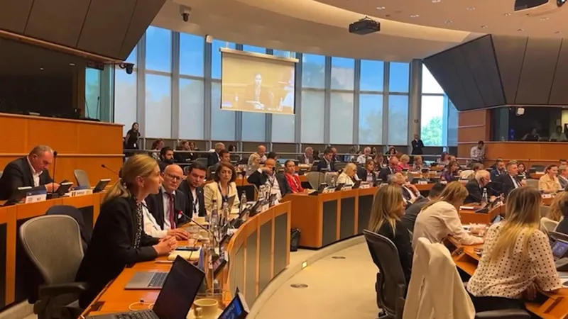 Tina Bokuchava: Mikheil Saakashvili's imprisonment is a clear example of political justice used for revenge and political retribution in a country that wants to join the European Union
