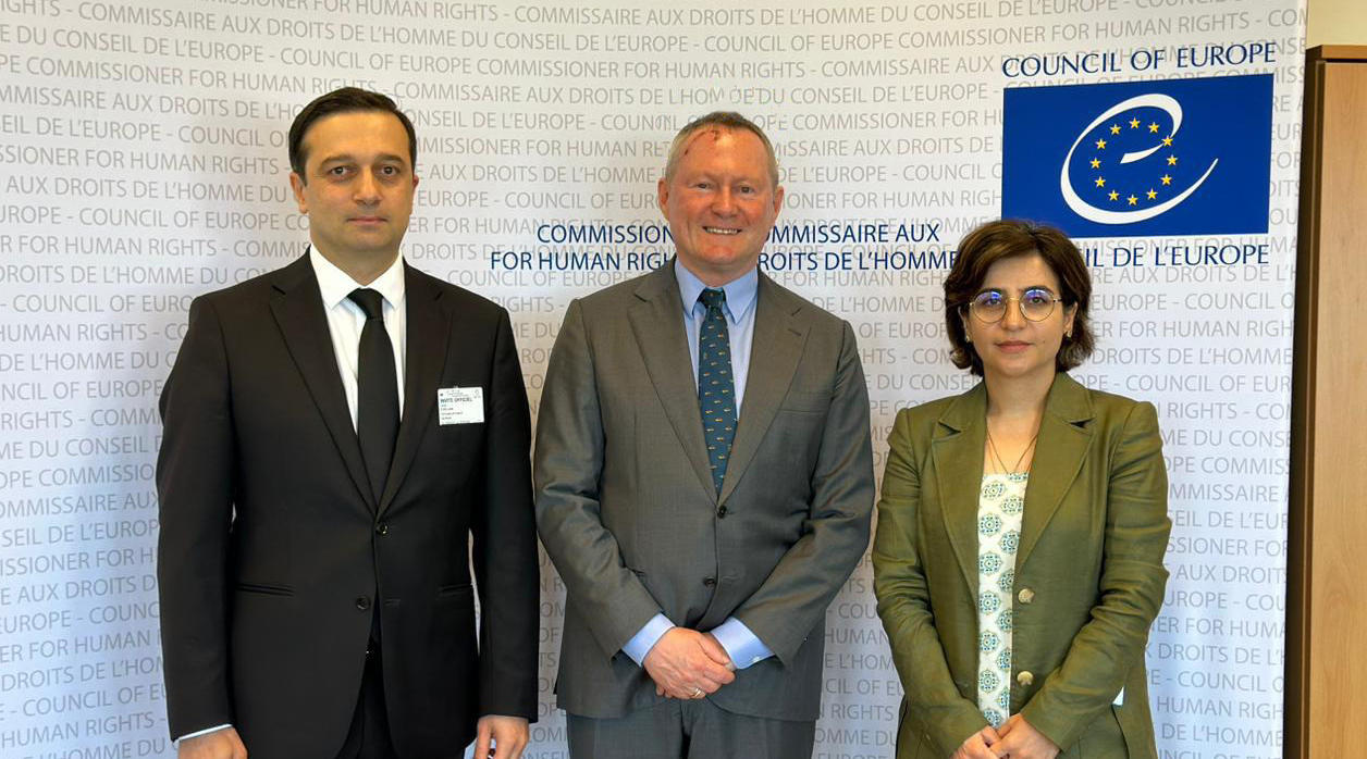 სტრასბურგში ოფიციალური ვიზიტით მყოფი სახალხო დამცველი ევროპის საბჭოს ადამიანის უფლებათა კომისარს შეხვდა