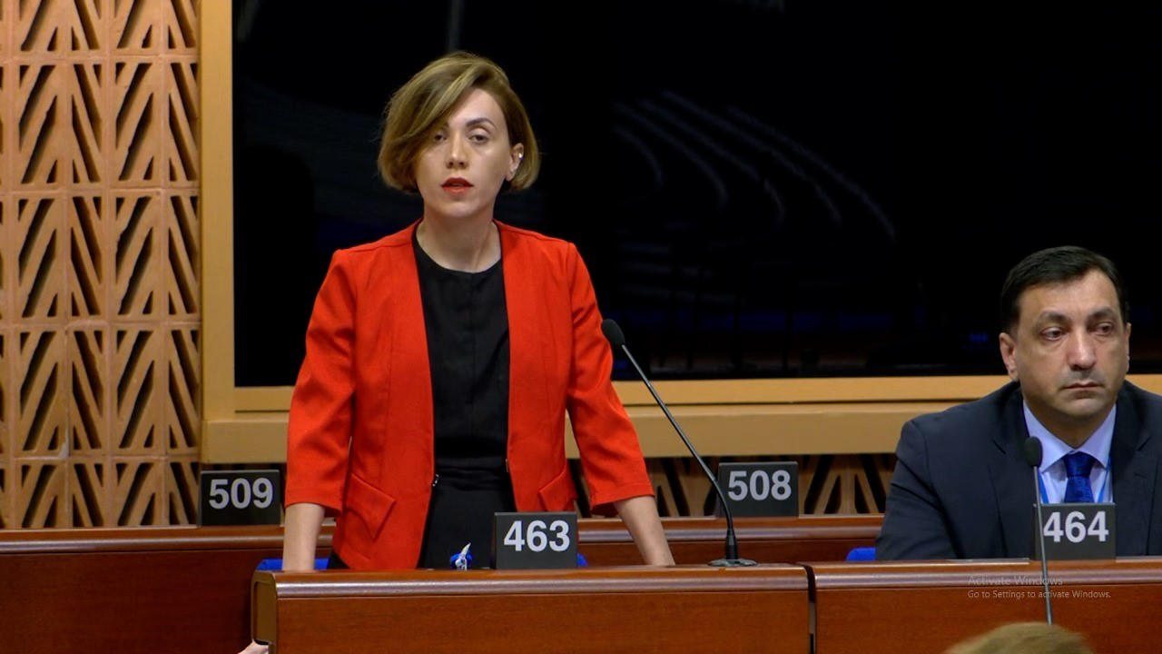 ანა წითლიძე ევროსაბჭოში გამოსვლისას - ათასობით ქართველი გვიყურებს ახლა, ელოდება მძლავრ სიგნალს, რომ თქვენ დგახართ ქართველ ხალხთან, რომ ევროპა არასოდეს მიატოვებს ქართველებს დემოკრატიის გზაზე - საქართველო ევროპას ეკუთვნის