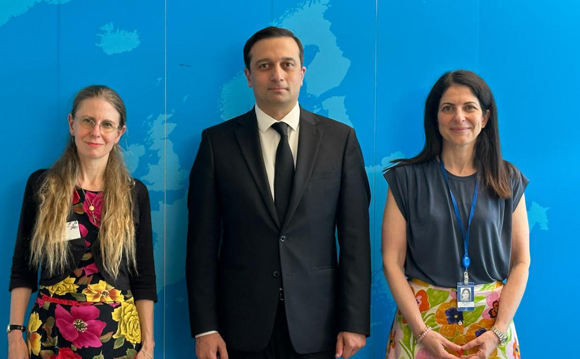 ლევან იოსელიანი, სტრასბურგში ვიზიტის ფარგლებში, ვენეციის კომისიის ვიცე-პრეზიდენტს შეხვდა