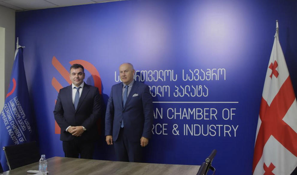 გიორგი პერტაიამ ჩეხეთის ელჩთან შეხვედრისას ქვეყნებს შორის სავაჭრო-საინვესტიციო მიმართულებით თანამშრომლობის გაღრმავების საკითხები განიხილა