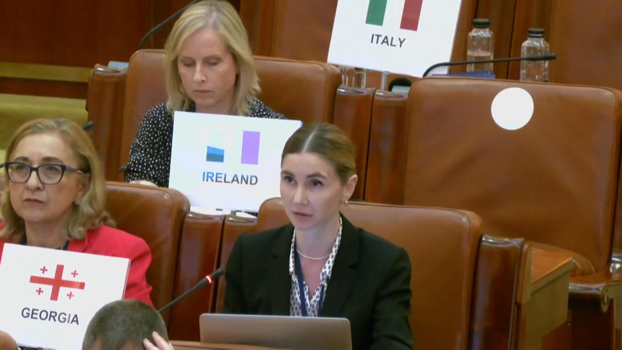 თინა ბოკუჩავა - როგორც ზურაბ ჟვანიამ განაცხადა ცნობილი სიტყვები, „ჩვენ ვართ ქართველები და მაშასადამე ვართ ევროპელები“, ვერც რუსეთი და ვერც მის მიერ მხარდაჭერილი საქართველოს ამჟამინდელი მმართველი ამას ვერ შეცვლის