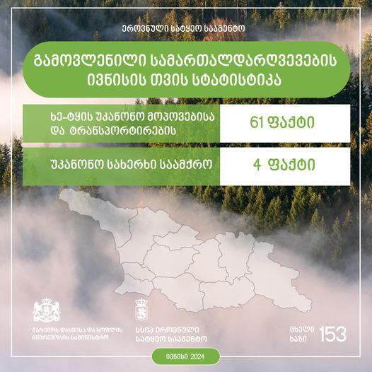 ეროვნული სატყეო სააგენტოს თანამშრომლებმა, ივნისში, ხე-ტყის უკანონო მოპოვებისა და ტრანსპორტირების 61 ფაქტი გამოავლინეს
