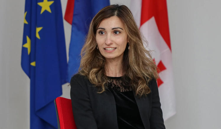 Ambassador of the Netherlands Nikoloz Samkharadze: There is a setback in the field of democracy and fundamental rights in Georgia, the process of joining the European Union of Georgia has been stopped because of this