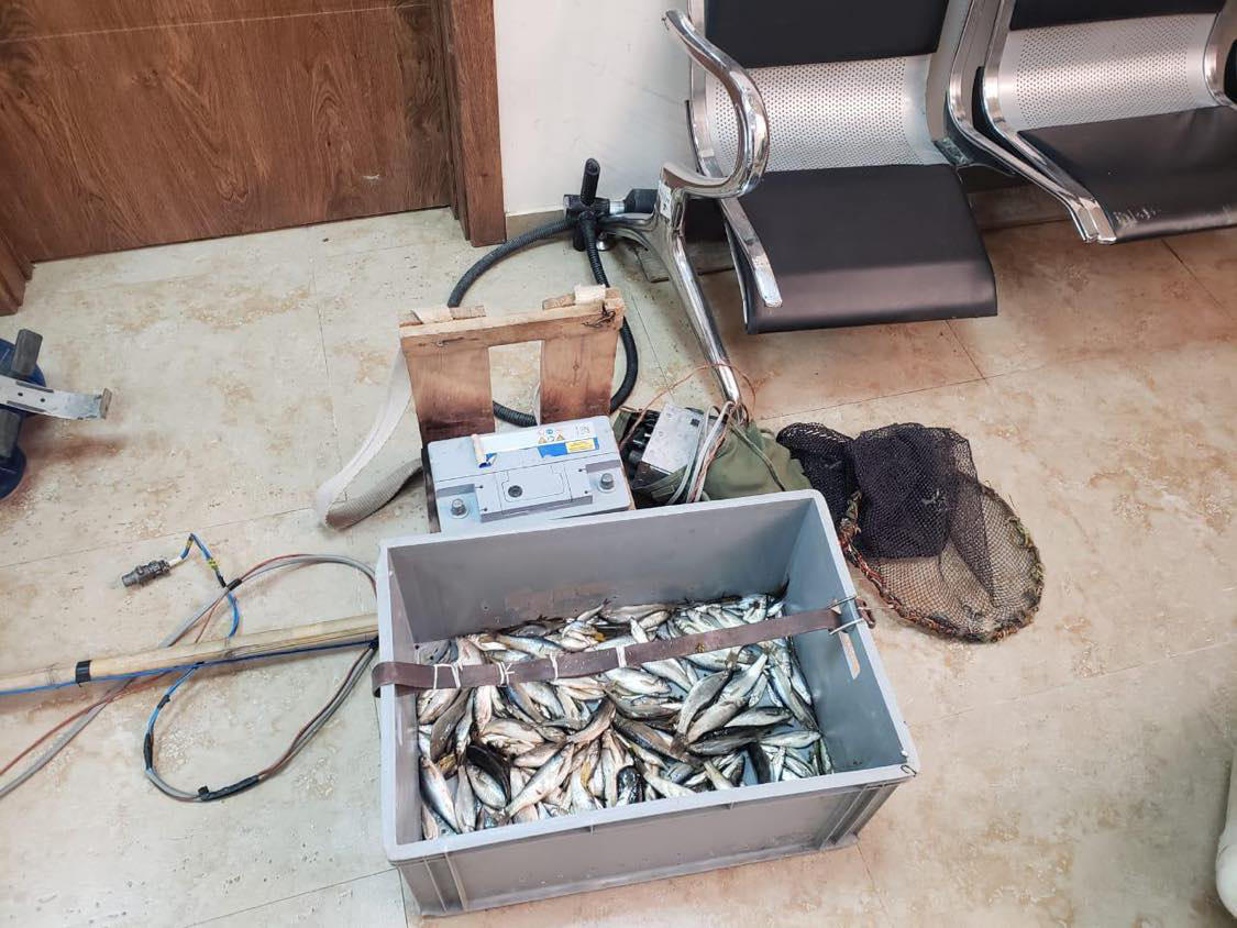 გარემოსდაცვითი ზედამხედველობის დეპარტამენტის თანამშრომლებმა 6 თვეში უკანონო თევზჭერის 332 ფაქტი გამოავლინეს