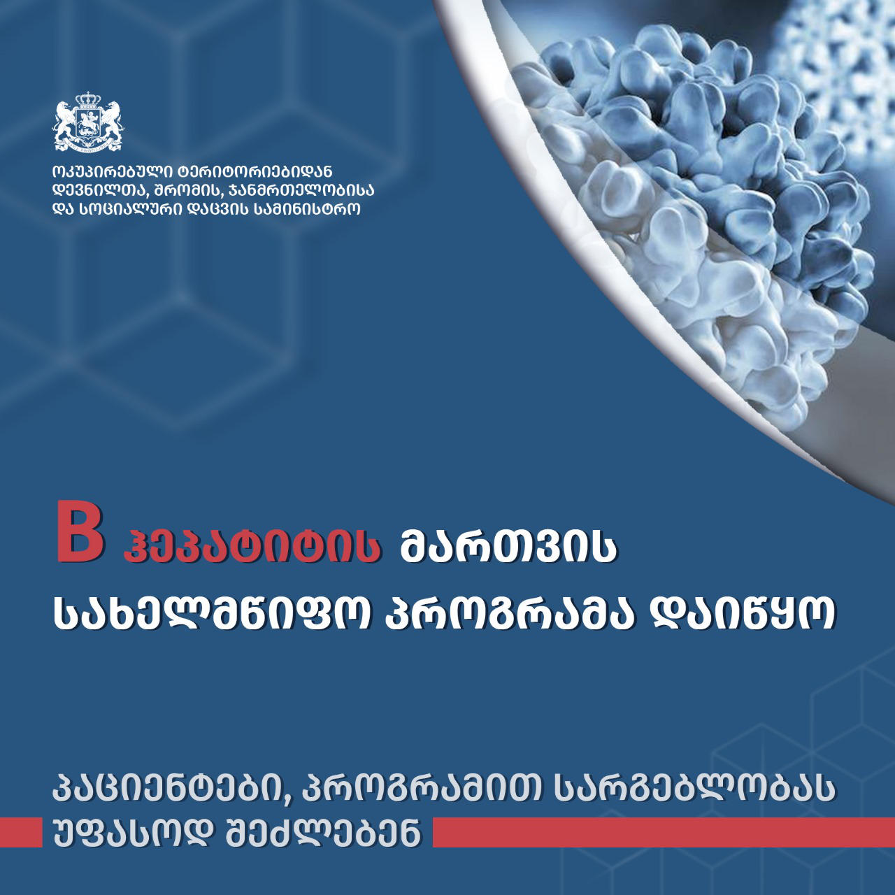 საქართველოში, B ჰეპატიტის მართვის სახელმწიფო პროგრამა დაიწყო