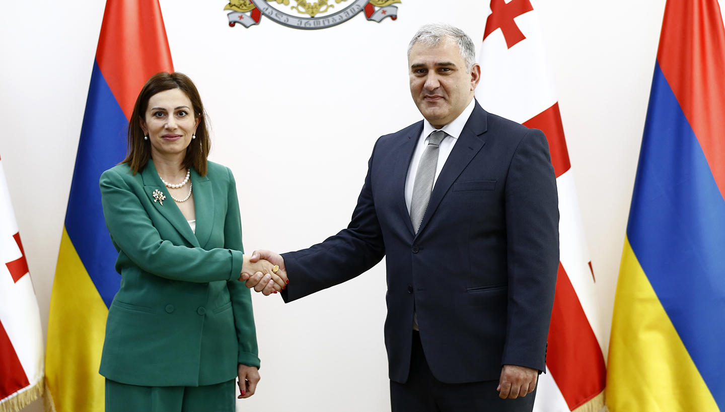 მიხეილ სარჯველაძე სომხეთის ჯანდაცვის მინისტრის შეხვდა