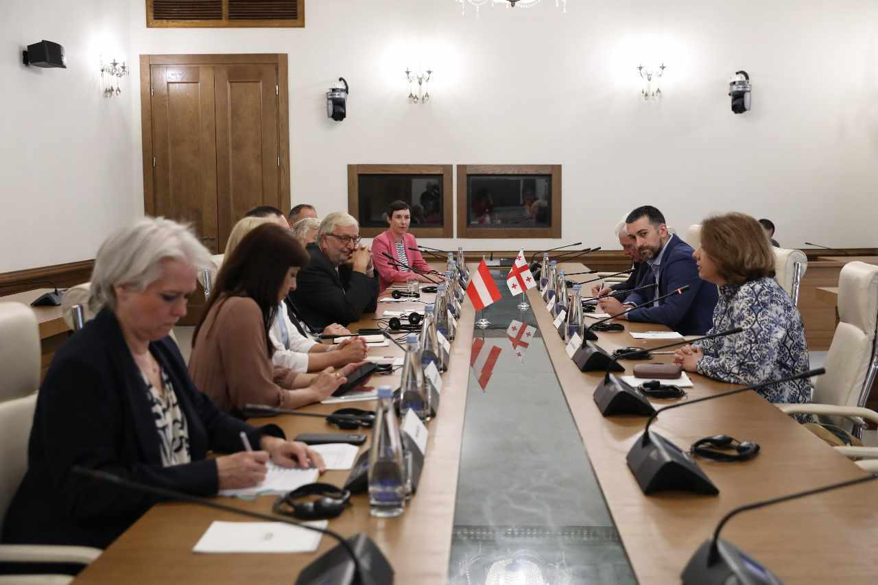 საპარლამენტო ოპოზიციის წევრები ავსტრიის პარლამენტის ეროვნული საბჭოს საგარეო ურთიერთობათა კომიტეტის წევრებს შეხვდნენ