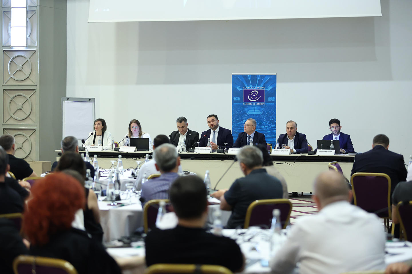 სამუშაო შეხვედრა მოსამართლეებთან საარჩევნო საკითხებზე