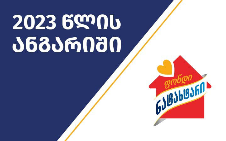 „ფონდმა ნატახტარმა“ საზოგადოებას 12-წლიანი საქმიანობის ანგარიში წარუდგინა