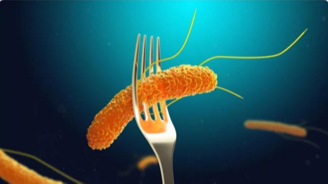 სალმონელოზის გამოვლენის გამო სურსათის ეროვნულმა სააგენტომ მოკვლევა დაიწყო