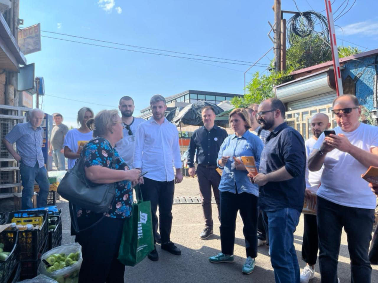 ანა დოლიძე - ჩვენი რეგიონები ხელისუფლებას მიტოვებული ჰყავს