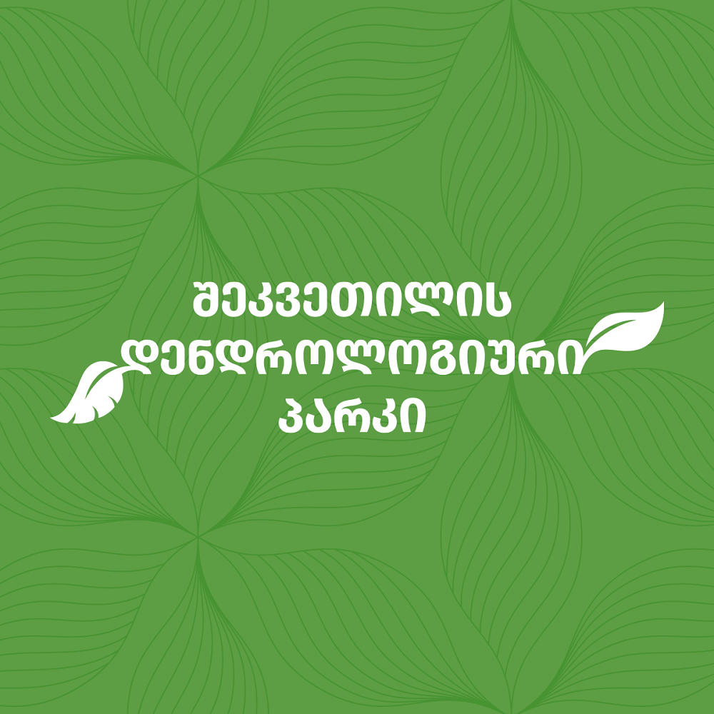 შეკვეთილის დენდროლოგიური პარკი - ჩასაფრებული პოლიტიკანების და მათ შირმად ქცეული ე.წ. არასამთავრობოების ცრუ დასმენებისა და ყალბი საჩივრების გამო, ძლიერ შეფერხდა კანონის სრული დაცვით მიმდინარე მცენარეთა გადმორგვის პროცესი - სამწუხაროდ, მავანთა წადილმა თავისას მიაღწია, რვავე ბაობაბის ხე გახმა