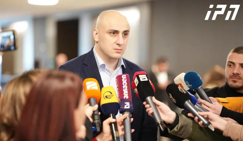 Nika Melia on the statement of the Helsinki Commission: I want to believe that in September the representatives of our friendly state will make a rational decision and the financial sanction will be implemented