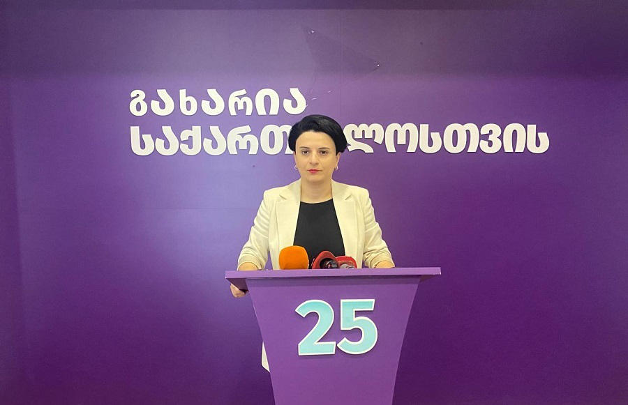 ნათია მეზვრიშვილი - მოვუწოდებთ „ოცნებას“, „ქოლ-ცენტრების საქმეზე“ საპარლამენტო საგამოძიებო კომისია შექმნან