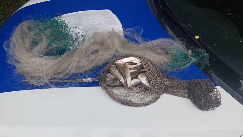 გარემოსდაცვითი ზედამხედველობის დეპარტამენტის თანამშრომლებმა უკანონო თევზჭერის 11 ფაქტი გამოავლინეს