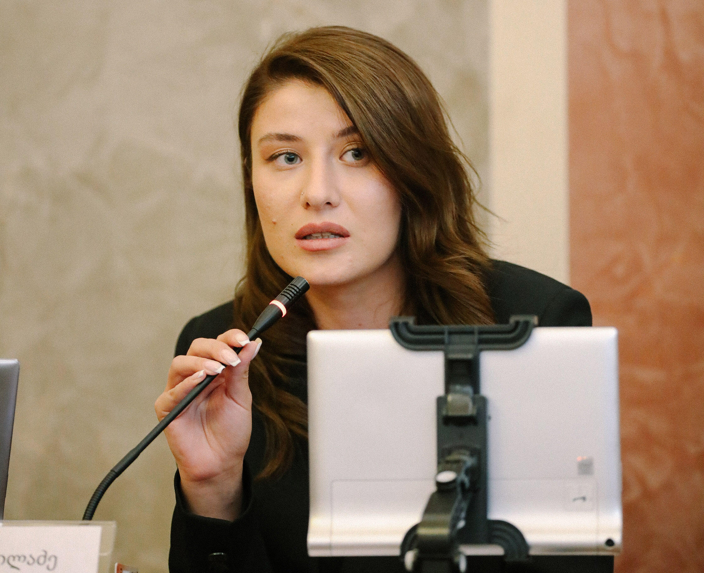 ანა კილაძე - ჩვენი ქვეყნის მოსახლეობის უმრავლესობა ქვეყანაში მშვიდობას, კეთილდღეობას, ღირსებით ევროპისკენ სწრაფვას დაუჭერს მხარს