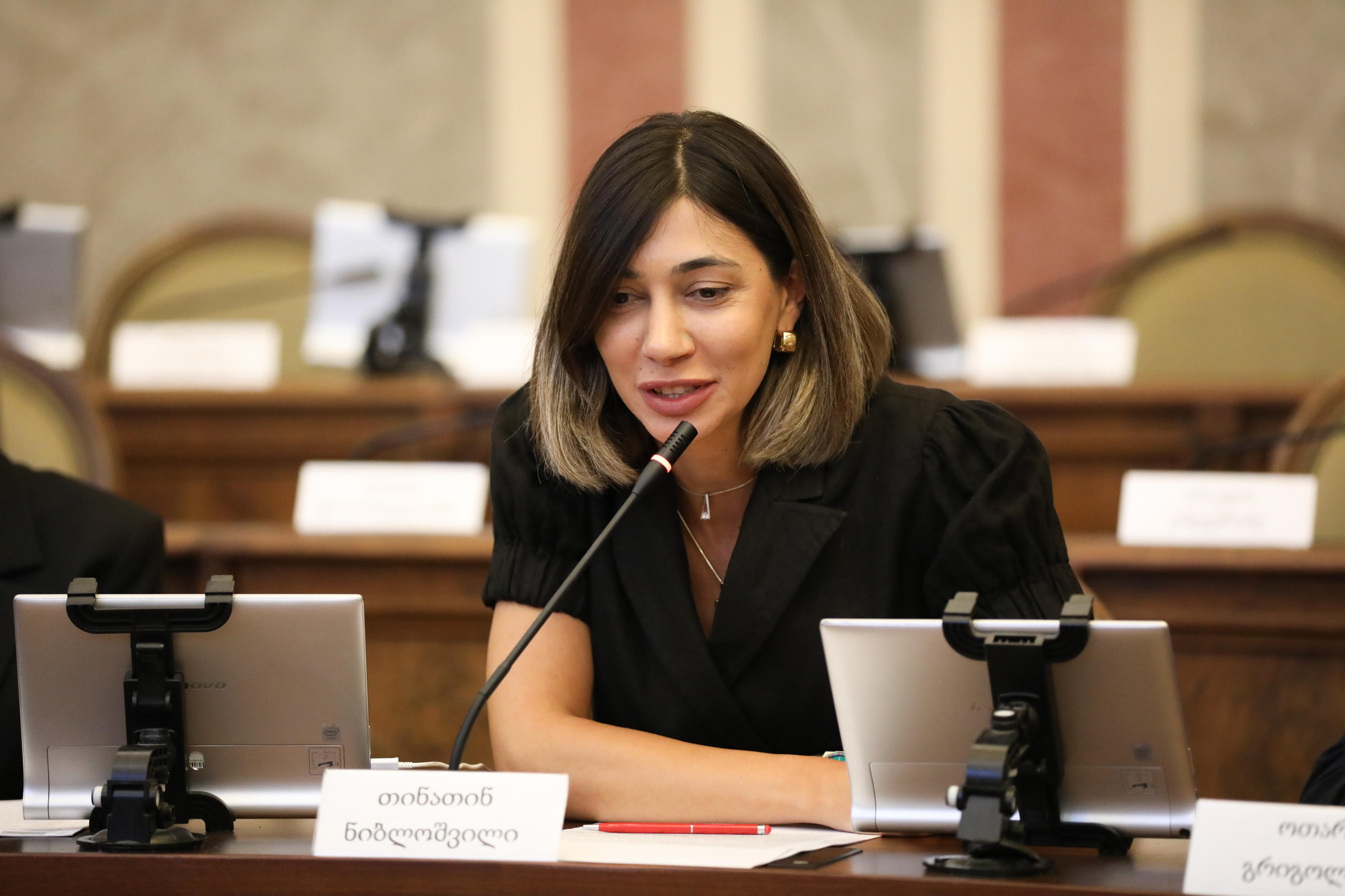 თინათინ ნიბლოშვილი - რისთვის შექმენით ალტერნატიული საბჭო, რატომ არ დაუჭირეთ მხარი სექსუალური შევიწროების პრევენციისა და რეაგირების მექანიზმს