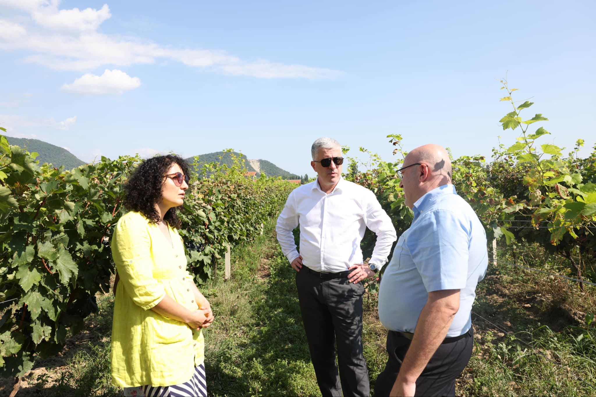 ოთარ შამუგია - ჩვენი მიზანია, ყურძენი სრულად დაბინავდეს და მევენახეებმა გაზრდილი შემოსავალი მიიღონ