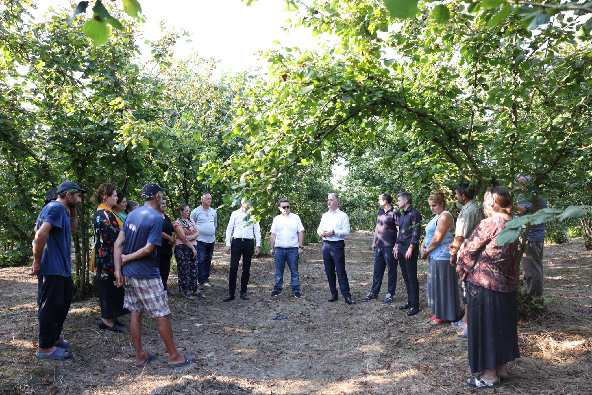 ოთარ შამუგია - წელს მეთხილე ფერმერების შემოსავალი 250 მლნ ლარზე მეტი იქნება