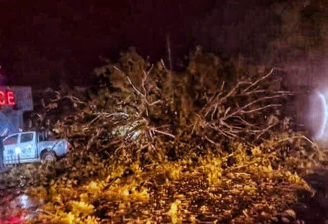 ძლიერმა წვიმამ და სეტყვამ ახმეტის მუნიციპალიტეტი დააზარალა