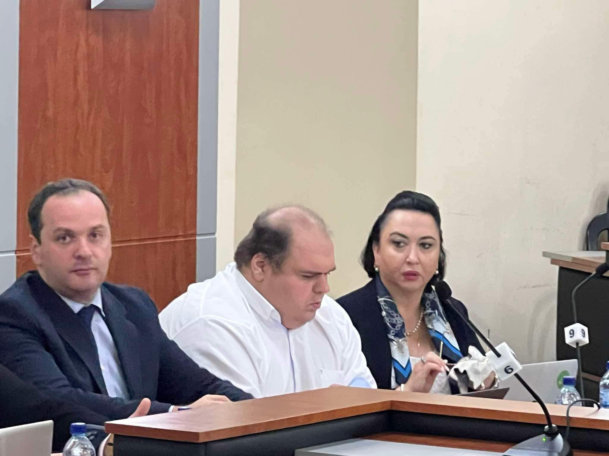 ეკა ბესელია სასამართლოს - მე არა ვარ ის, ვინც წესები არ იცის - თუ სასამართლოს სხდომაზე იუსტიციის მინისტრის მოადგილე იმისთვის მოიყვანეთ, რომ პარლამენტს დაეხმაროს, მაშინ პარლამენტის მხარეს გადასვით