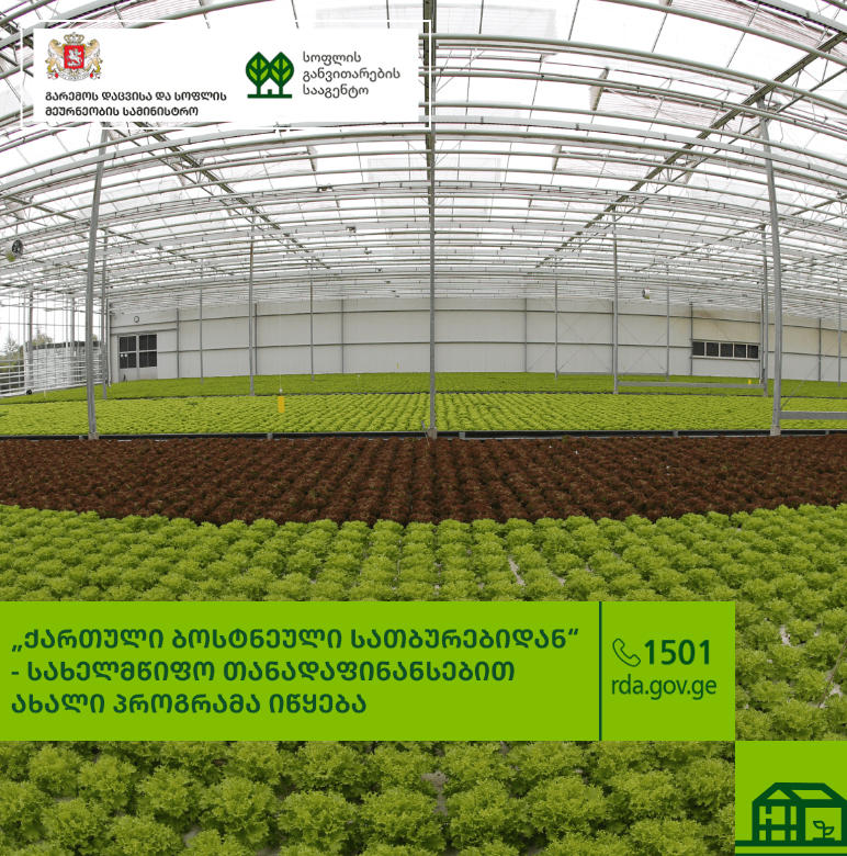 სახელმწიფო თანადაფინანსებით ახალი პროგრამა - „ქართული ბოსტნეული სათბურებიდან“ იწყება