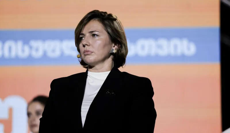 ანა დოლიძე - პრეზიდენტის როლი არის ძალიან მნიშვნელოვანი, ახლა შევდივართ საკმაოდ მწვავე ეტაპზე