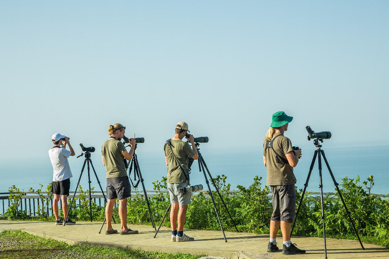 აჭარაში ფრინველებზე დაკვირვების საერთაშორისო ფესტივალი ჩატარდება