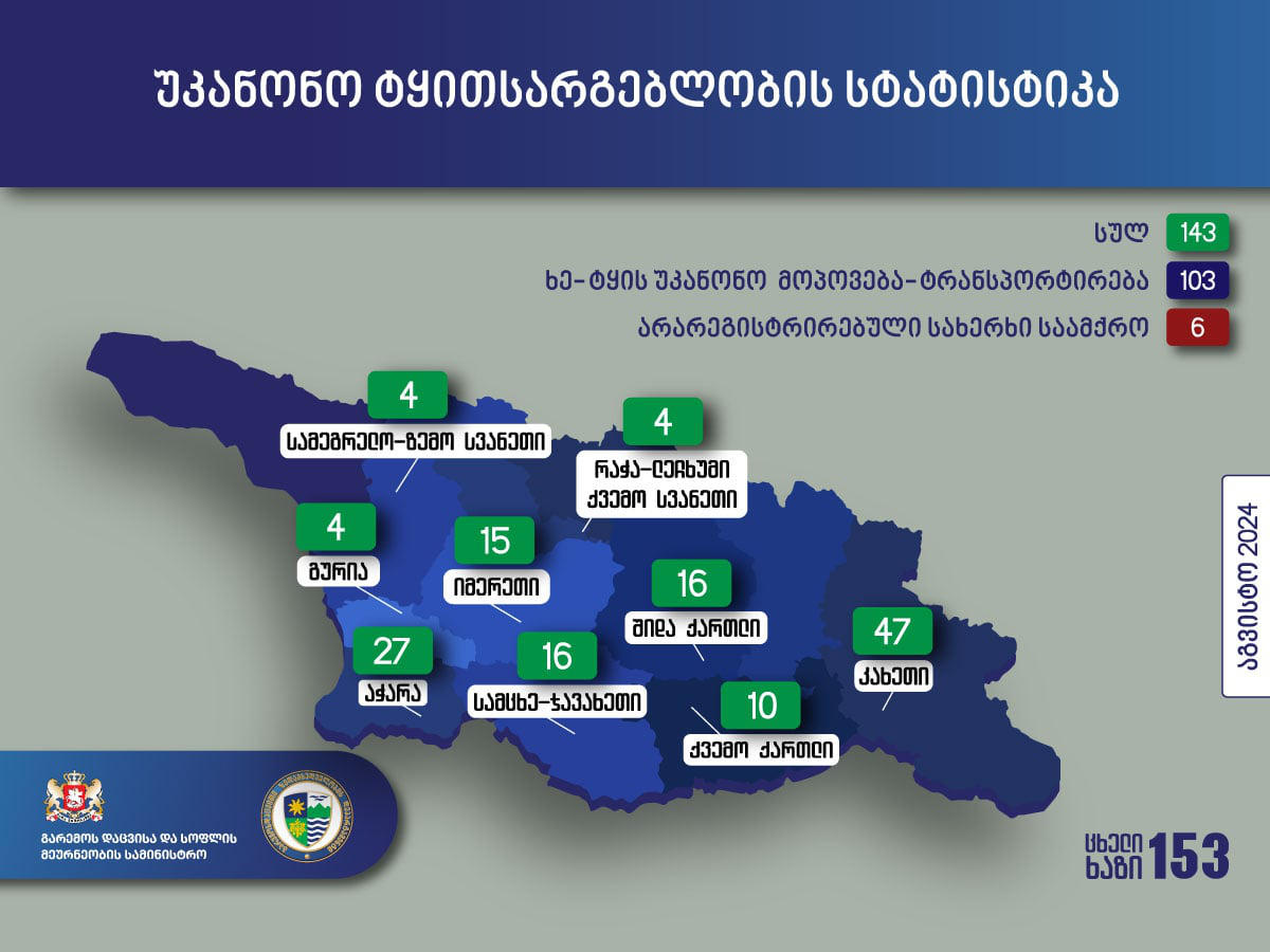 გარემოსდაცვითი ზედამხედველობის დეპარტამენტის თანამშრომლებმა აგვისტოში უკანონო ტყითსარგებლობის 143 ფაქტი გამოავლინეს
