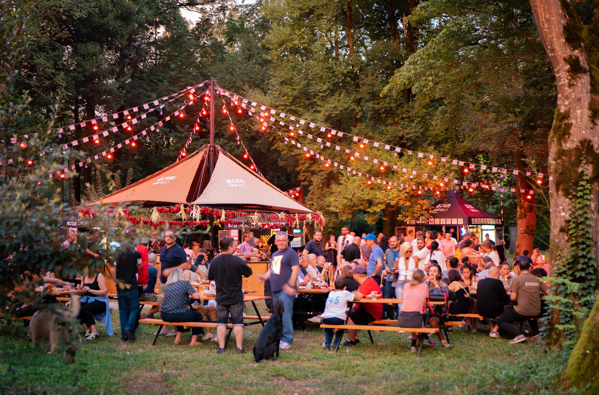 სალომე ფაცია - ვფიქრობ, „გემო ფესტი“ იდეალურად ჩატარდა, ხალხი გაეცნო ზუგდიდს, ჩვენს კერძებს, მეგრულ კულინარიას
