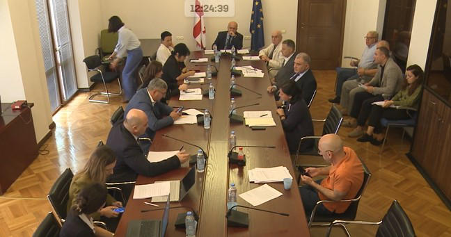 ჯანდაცვის კომიტეტი DRG მოდელზე - გამოიკვეთა ისეთი პრობლემური საკითხები, როგორიცაა რეანიმაციული და გართულებული შემთხვევების არასაკმარისი, ზოგ შემთხვევაში კრიტიკულად დაბალი დაფინანსება, პრობლემაა თანმხლები დაავადებების ანაზღაურება