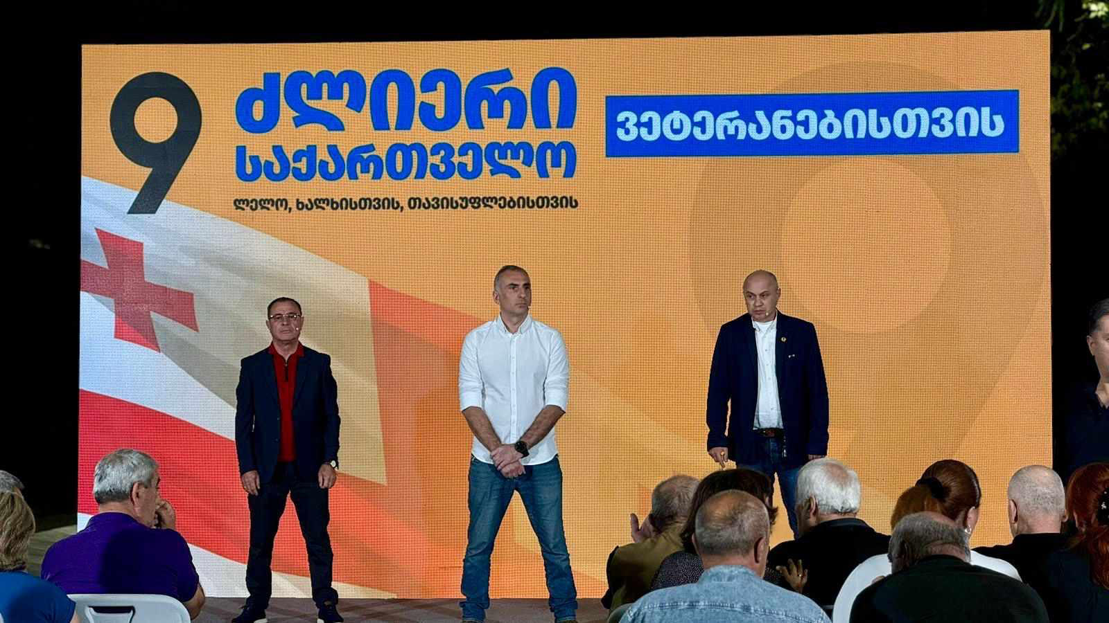 "ძლიერი საქართველოს" ლიდერები ვეტერანებს შეხვდნენ