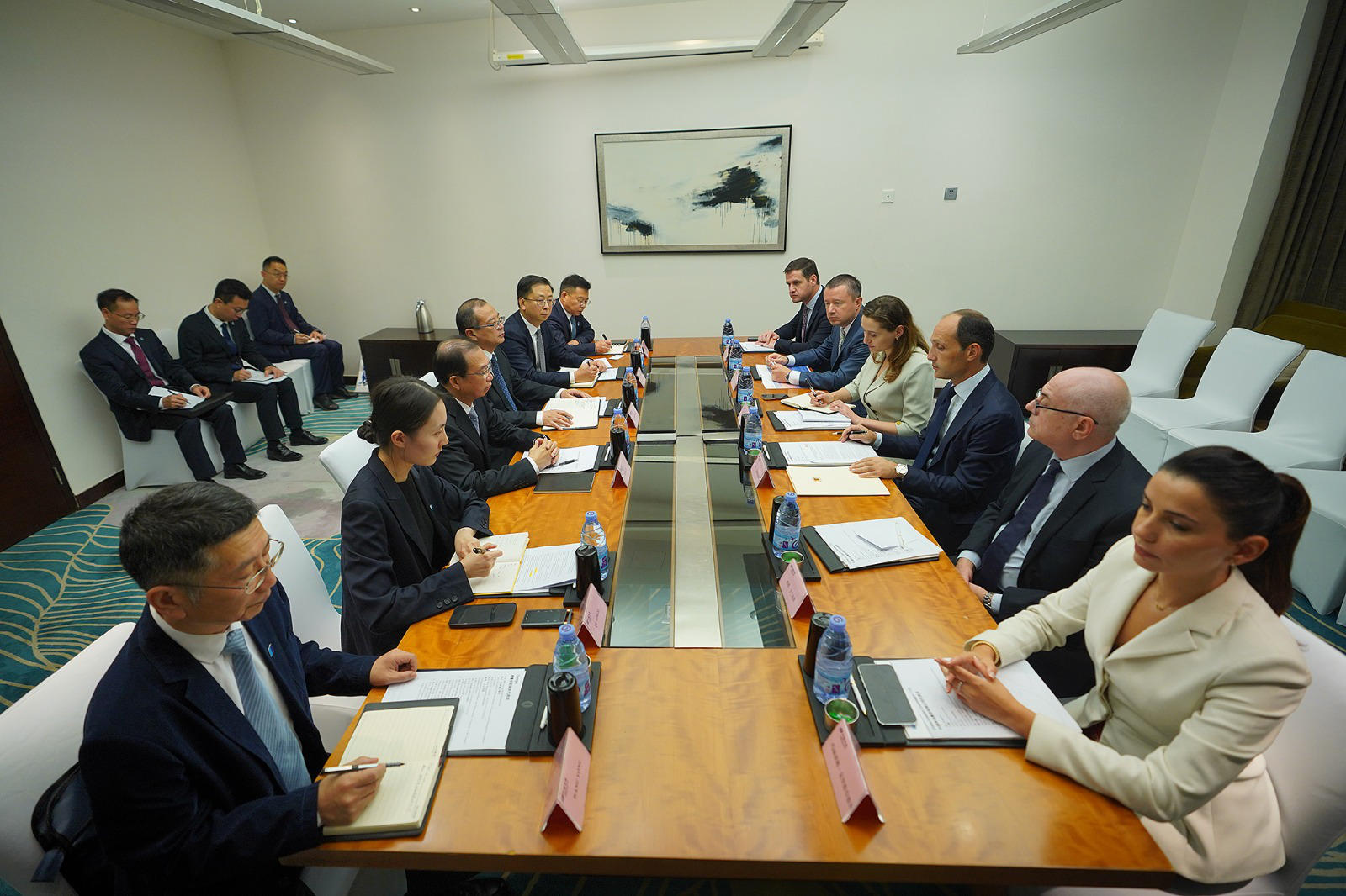 ლევან დავითაშვილმა ჩინეთის ენერგეტიკული კომპანია საქართველოს ენერგეტიკის სექტორში თანამშრომლობისთვის მოიწვია