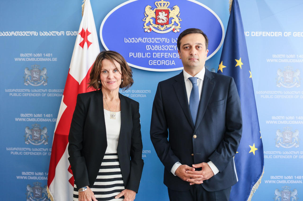 ლევან იოსელიანი აშშ-ს ელჩს შეხვდა