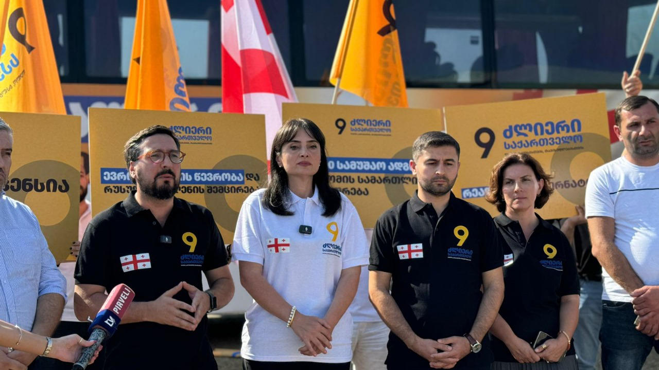 ''ძლიერი საქართველოს'' ლიდერები ქვემო ქართლის მოსახლეობის პრობლემებს ეცნობიან