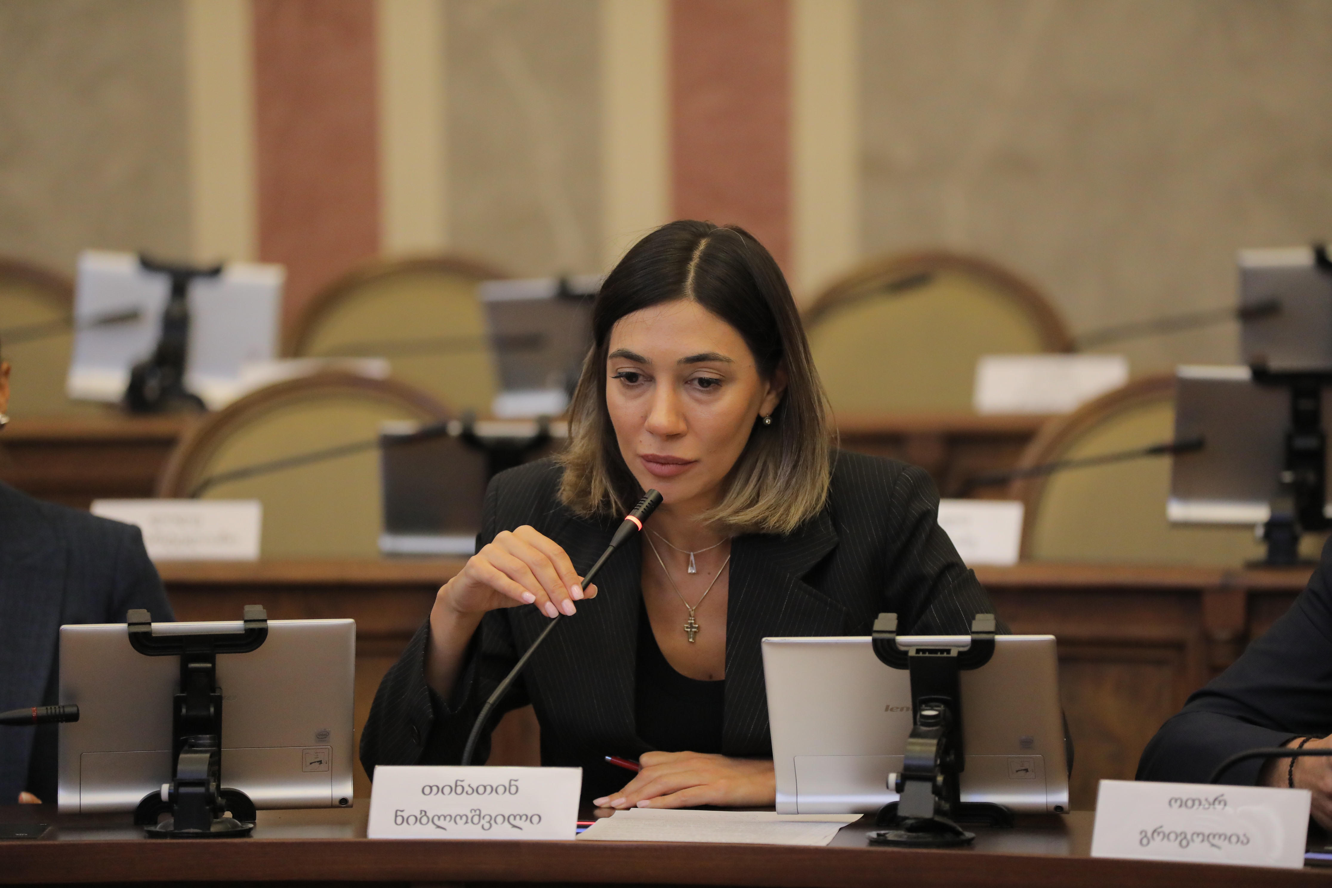 თინათინ ნიბლოშვილი - ოპოზიციამ ერთი ახალი ადამიანიც ვერ მიიზიდა და ერთმანეთის პარტიაში გადადიან და გადმოდიან