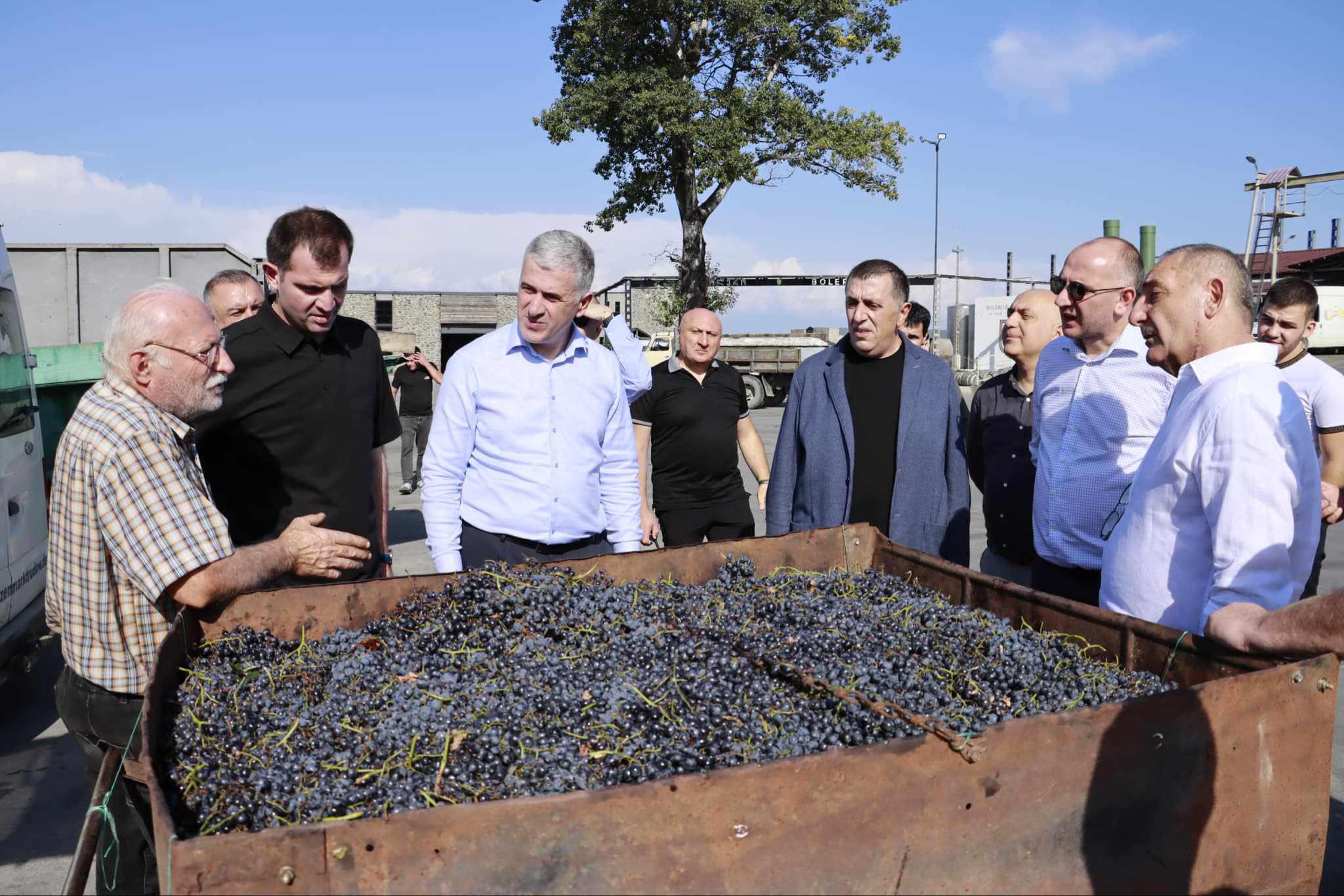 ოთარ შამუგია გურჯაანში რთველის მიმდინარეობის პროცესს კომპანიის „ბოლერო და კომპანი“ საწარმოში გაეცნო