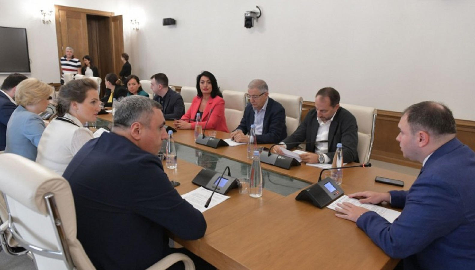 კომიტეტების გაერთიანებულ სხდომაზე მარაკეშის ხელშეკრულების რატიფიცირებას მხარი დაუჭირეს